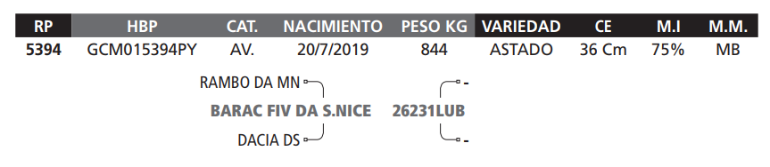 Lote LOTE 47