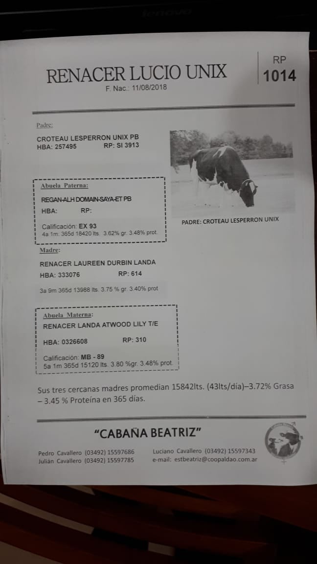 Lote Renacer Lucio Unix