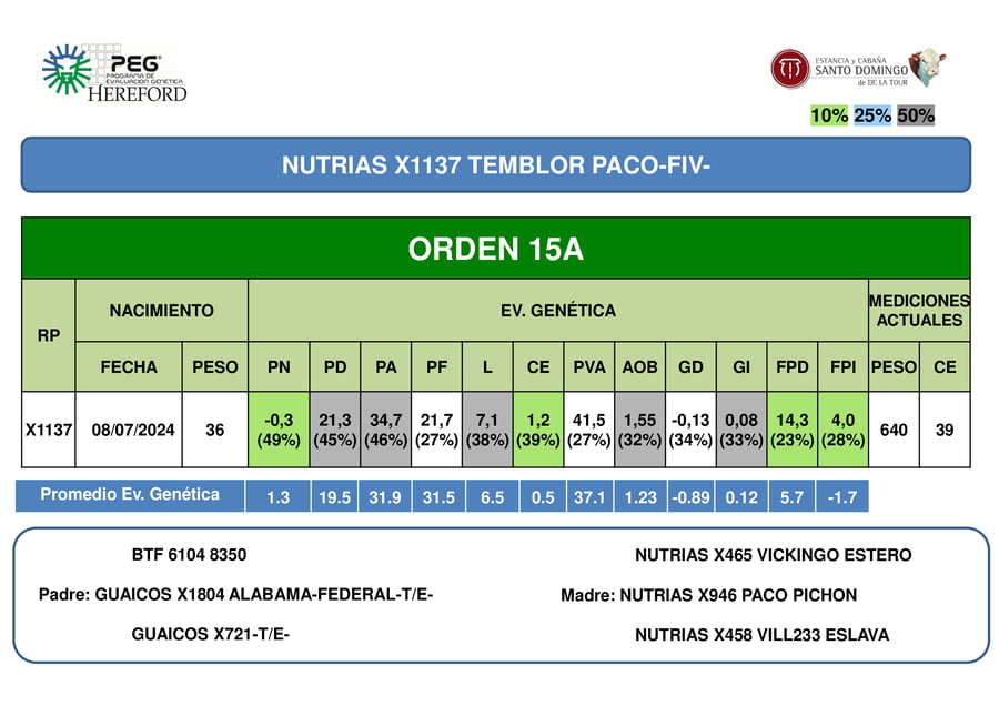 Lote ORDEN 15 TOROS PP