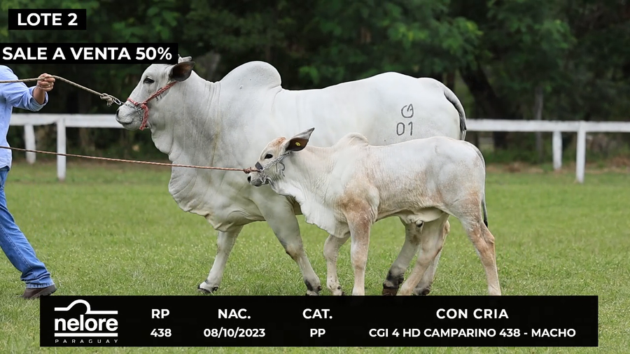 Lote LOTE 2- SALE A VENTA EL 50%