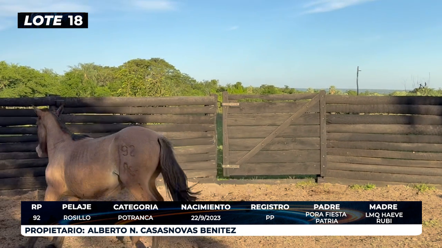 Lote LOTE 18