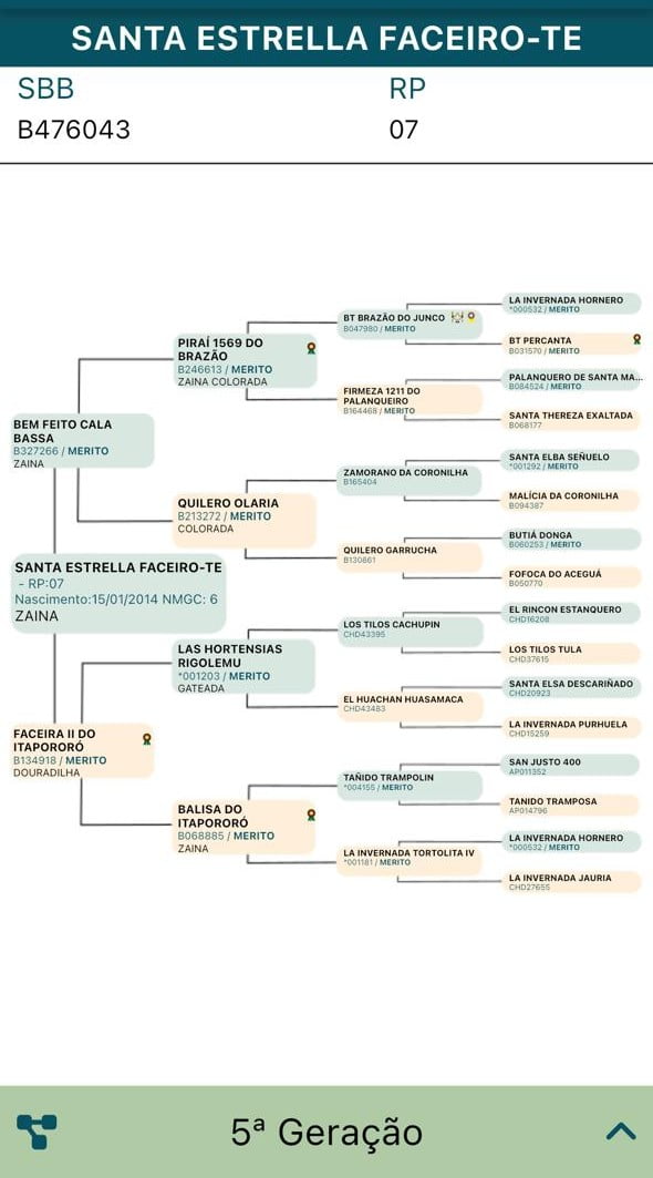 Lote LOTE 5