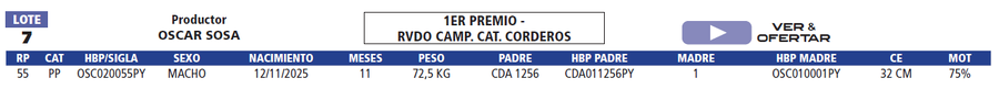 Lote LOTE 7