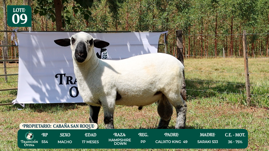 Lote LOTE 9