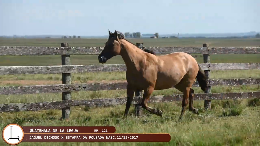 Lote GUATEMALA DE LA LEGUA