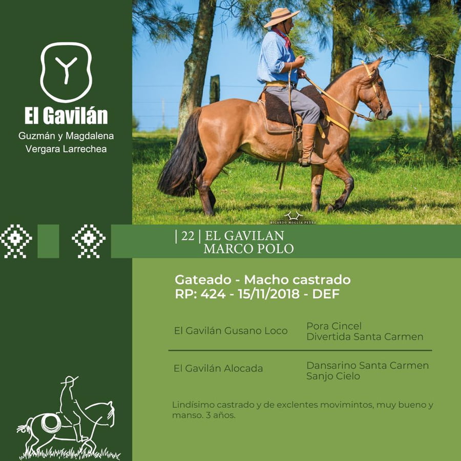 Lote El Gavilán Marco Polo (RP 424) Cabaña "El Gavilán"