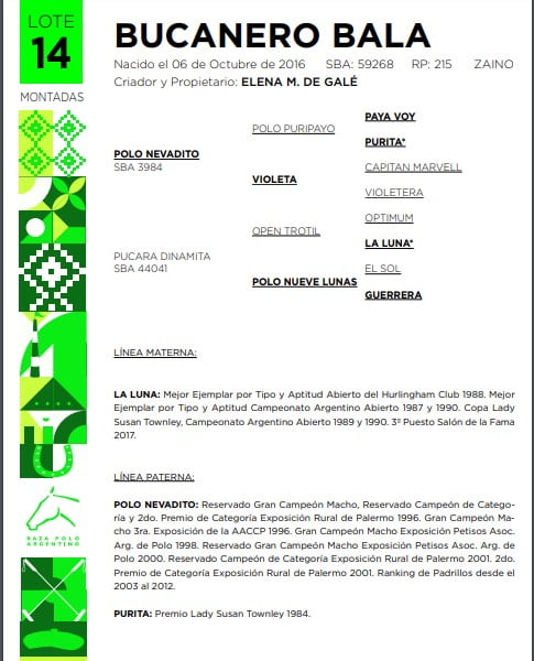 Lote BUCANERO BALA(POLO NEVADITO-PUCARÁ DINAMITA)