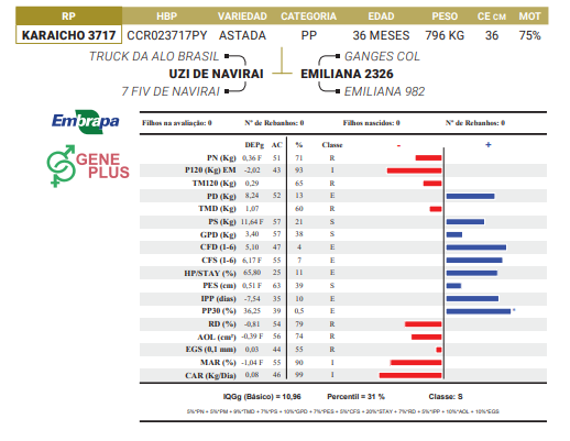 Lote LOTE 72