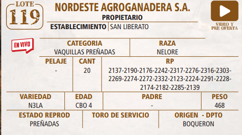 Lote LOTE 119 -EN VIVO