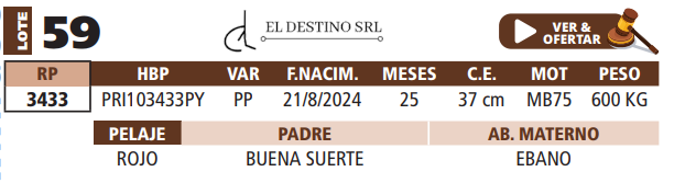 Lote LOTE 59
