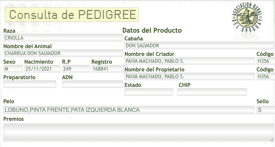 Lote Charrua Don Salvador