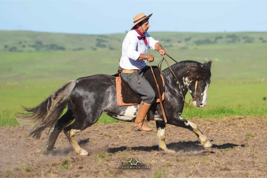 Lote El Gavilan Pacífico Mandarín (RP 427) Cabaña "El Gavilán"