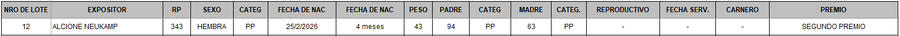 Lote LOTE 12 - BOZAL