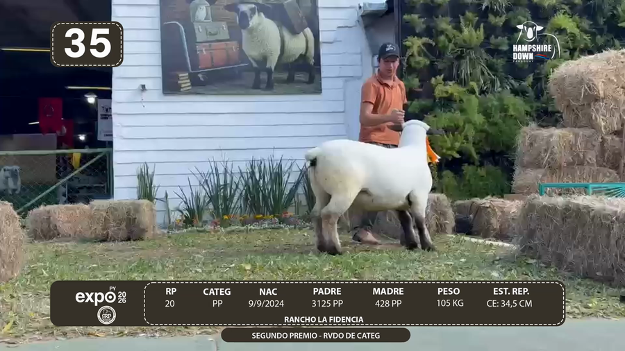 Lote LOTE 35 - BOZAL