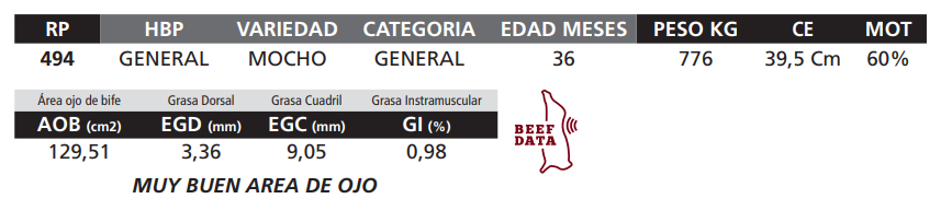Lote LOTE 44