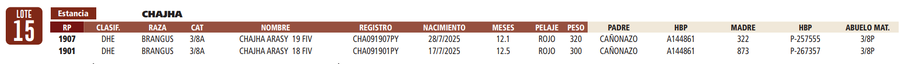 Lote LOTE 15