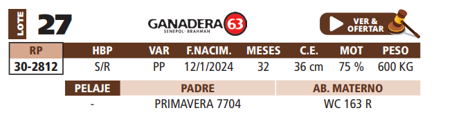 Lote LOTE 27