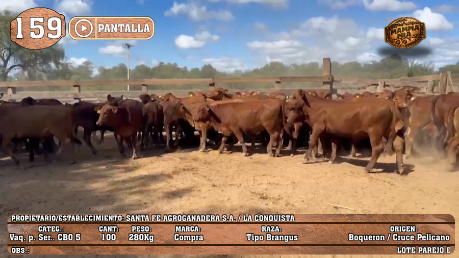 Lote LOTE 159 - PANTALLA