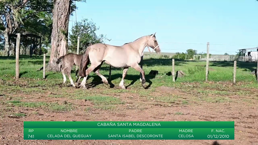 Lote Celada del Queguay