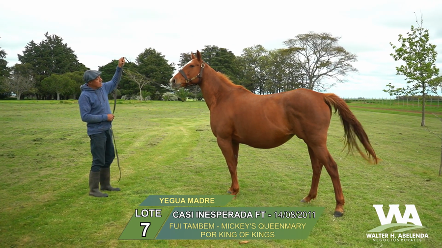 Lote CASI INESPERADA FT