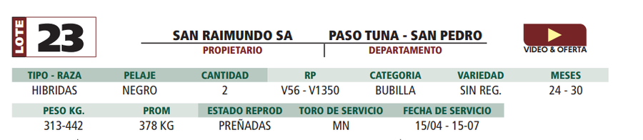 Lote LOTE 23