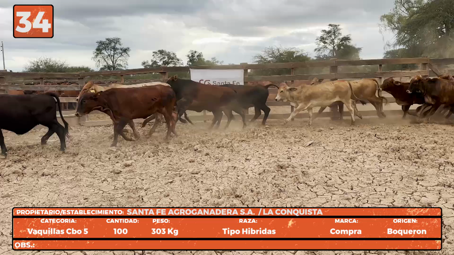 Lote LOTE 34
