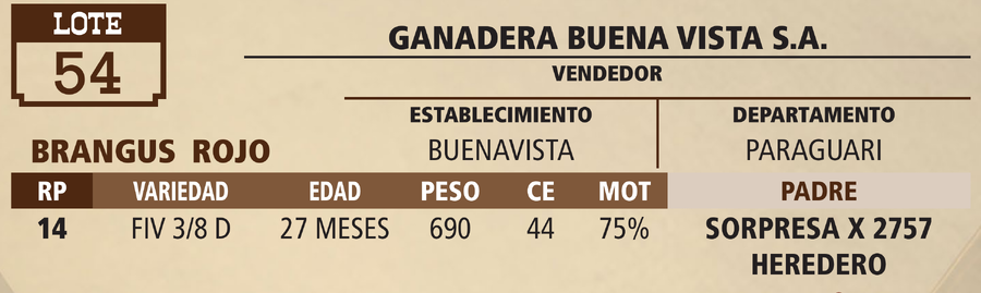 Lote LOTE 54 - VIVO
