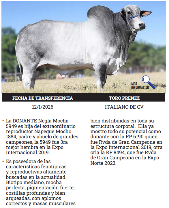 Lote LOTE 3 - PREÑECES