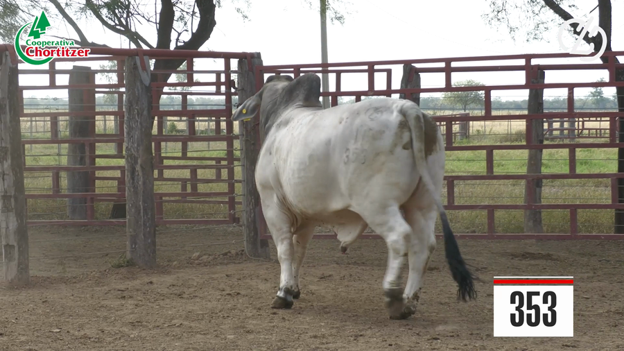 Lote Brahman