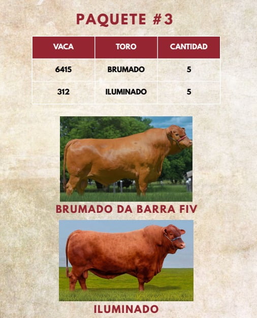 Lote LOTE 39