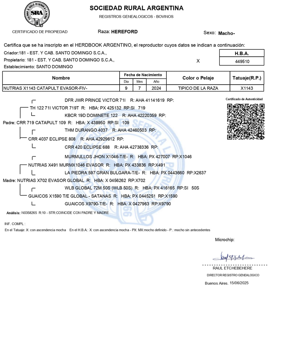Lote Terneros PP