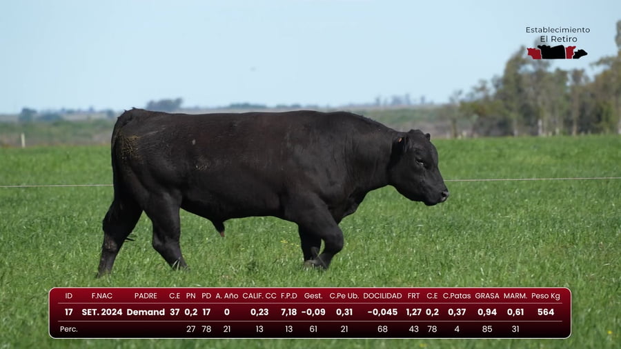 Lote RP 17