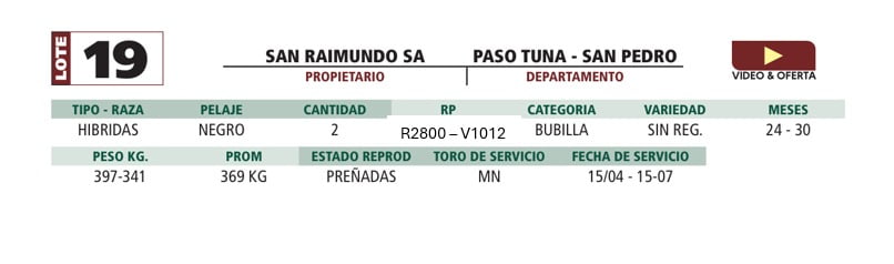 Lote LOTE 19
