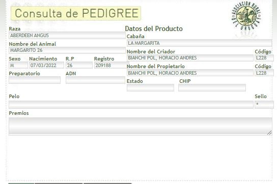 Lote TORO PI - RP 26