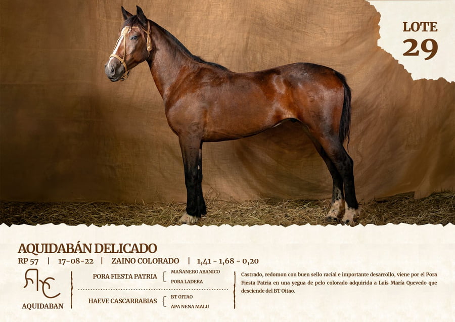 Lote AQUIDABAN DELICADO