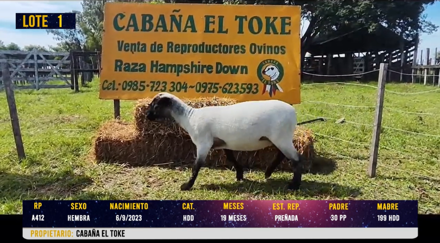 Lote LOTE 1