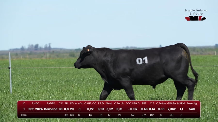 Lote RP 1