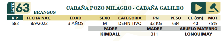 Lote LOTE 63