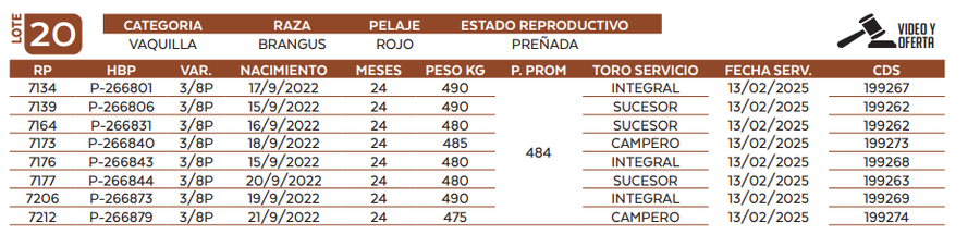Lote LOTE 20
