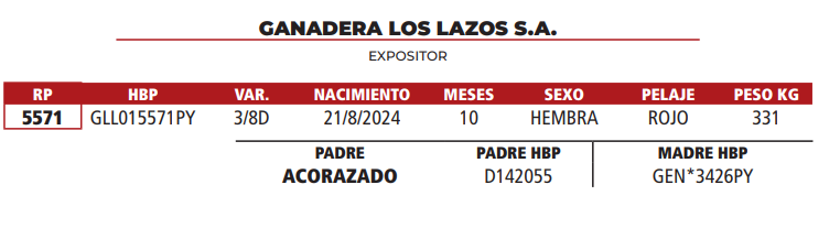 Lote LOTE 11