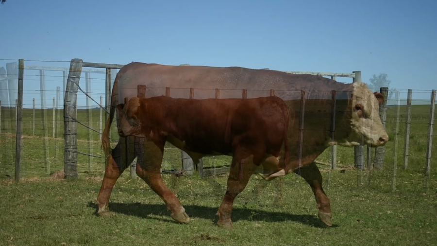 Lote "Valle Del Laurel" , RP 424