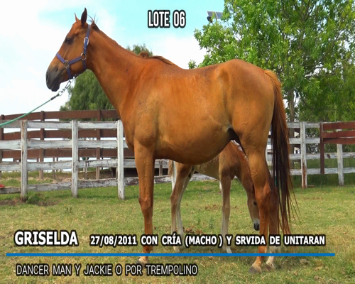 Lote GRISELDA