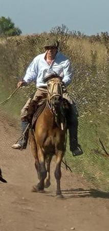 Lote ALTANERO QUITILIN.  RP 538