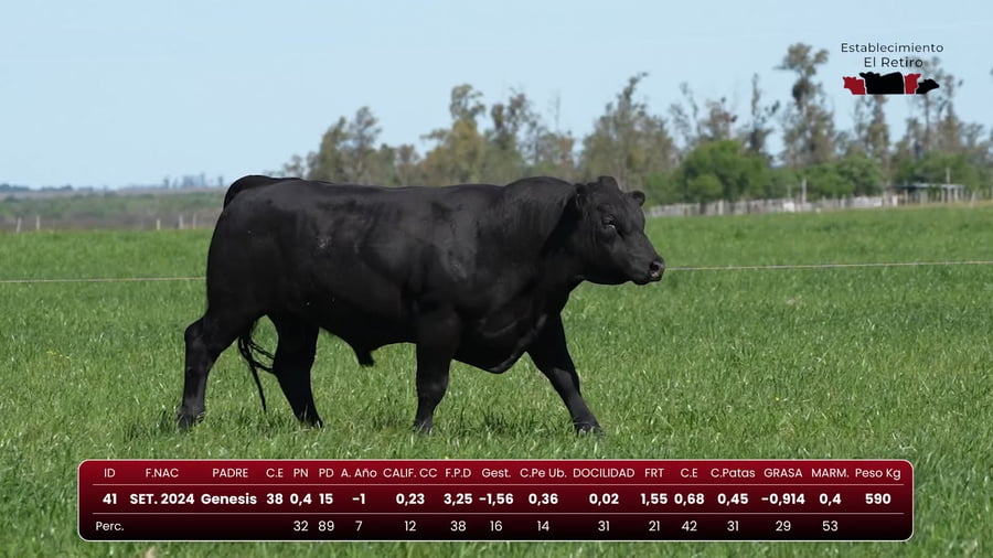 Lote RP 41