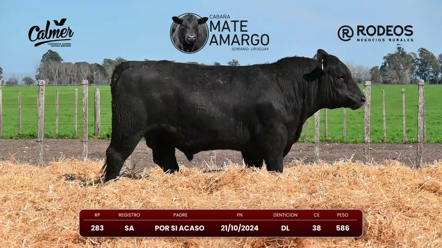 Lote RP 283 SA