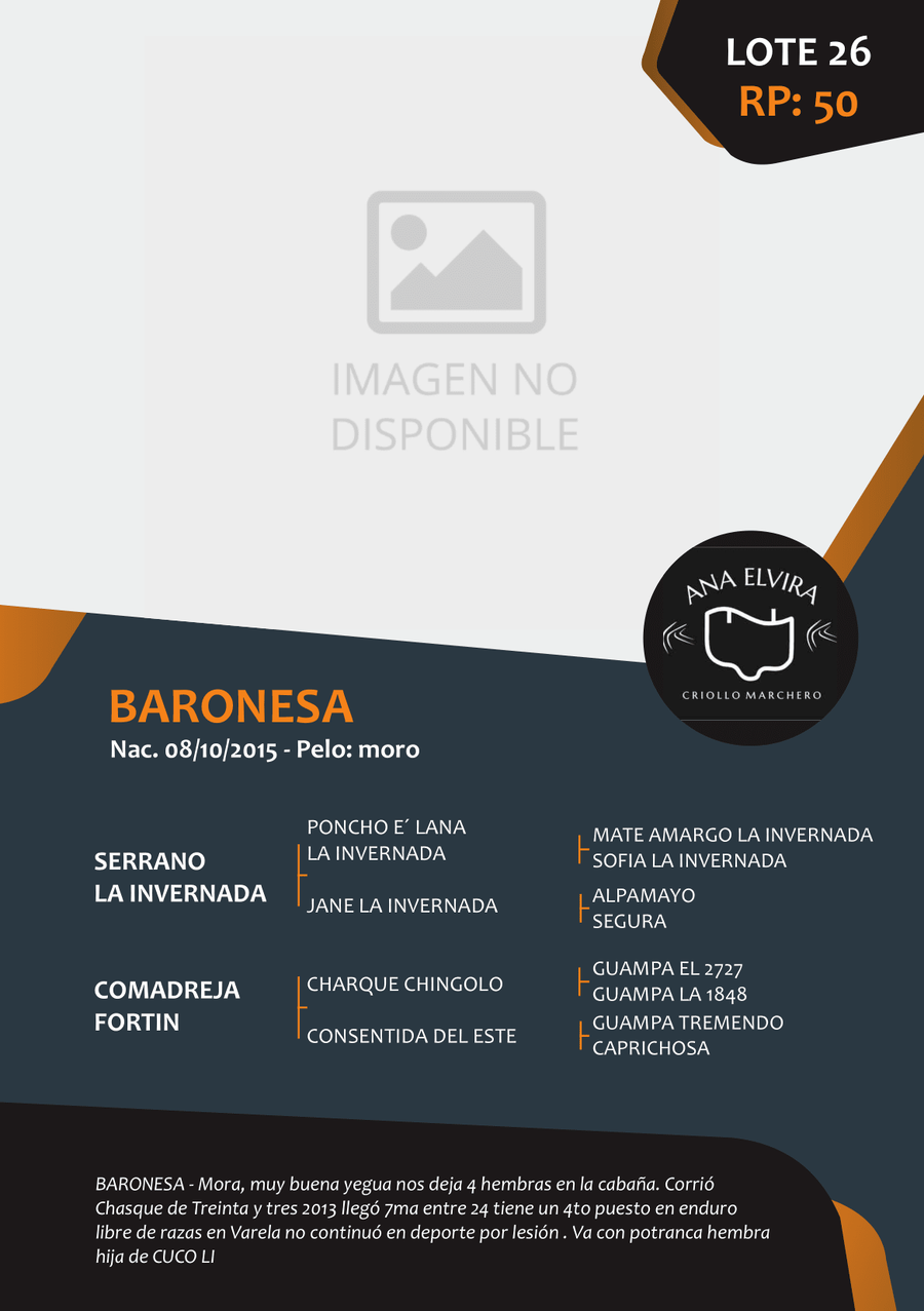 Lote RP 50 - BARONESA