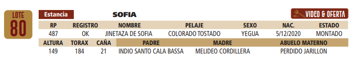 Lote LOTE 80