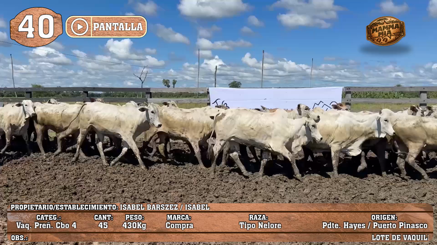 Lote LOTE 40 - POR PANTALLA