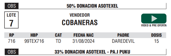Lote LOTE 7