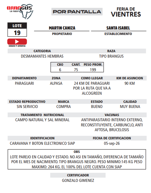 Lote LOTE 19 - POR PANTALLA